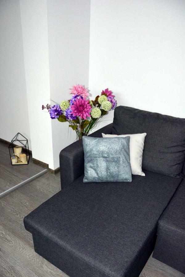 Apartament Bartolomeo Torun Exterior photo
